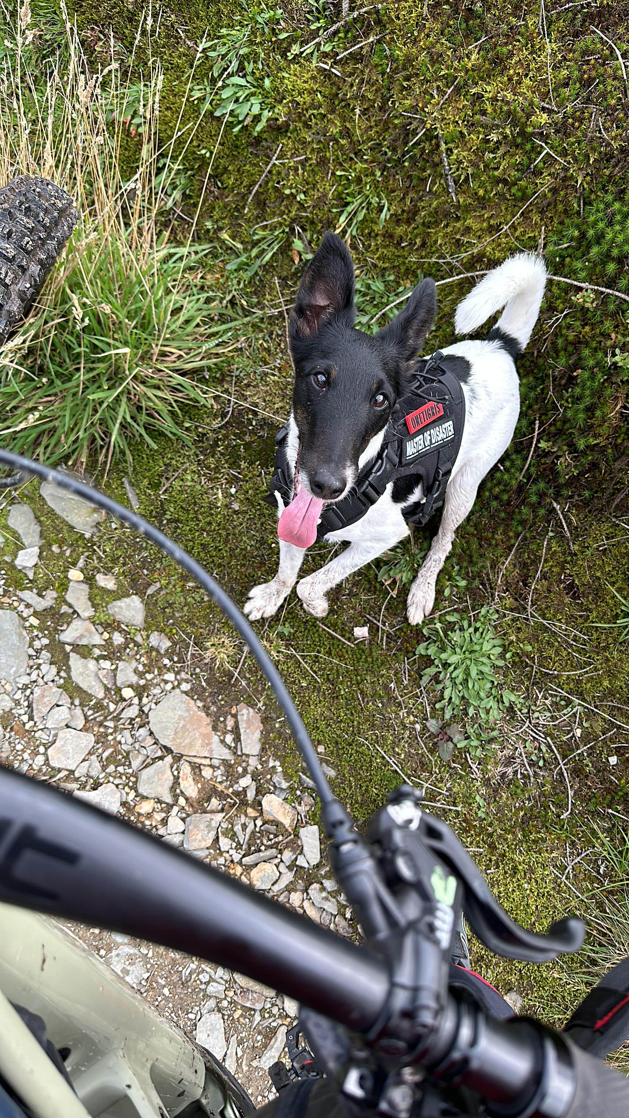 Miles happy - Our Story